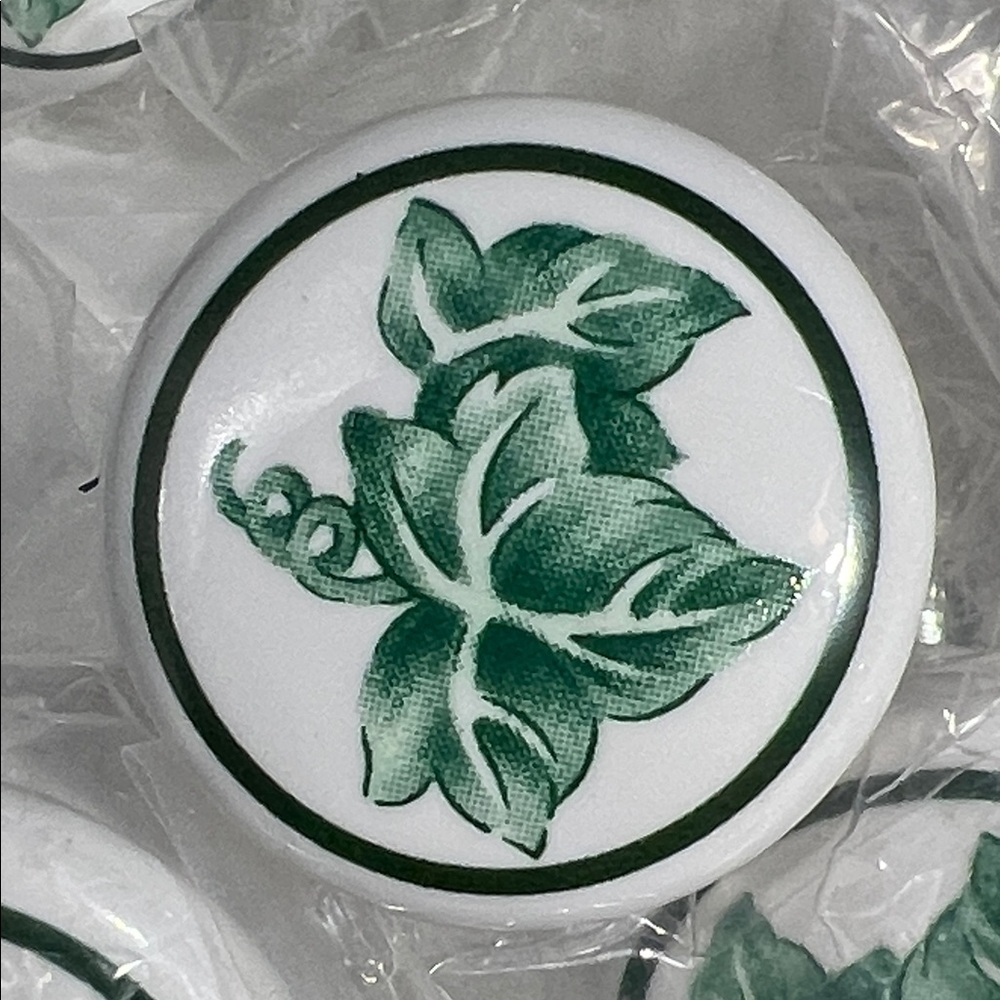 Vintage Ivy Design Porcelain Knobs - Green and White new, 14 pieces cortagecore